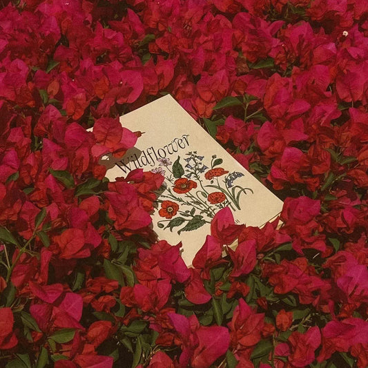 Wildflower Book